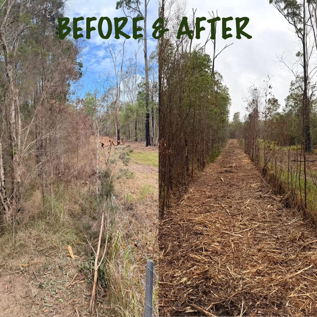 Before-and-after split image showing dense fence-line scrub on the left and a freshly mulched 200m strip running between mature eucalypts on the right